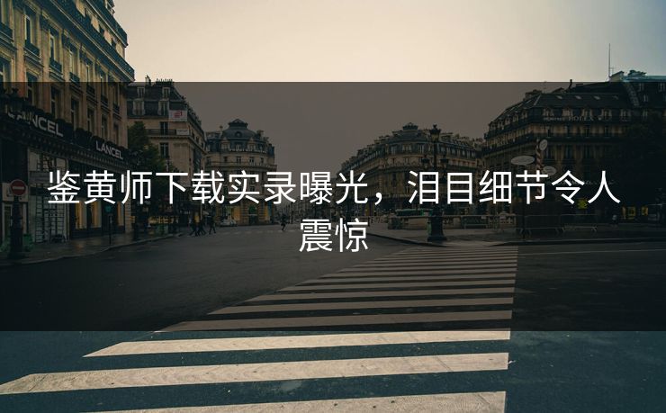 鉴黄师下载实录曝光，泪目细节令人震惊
