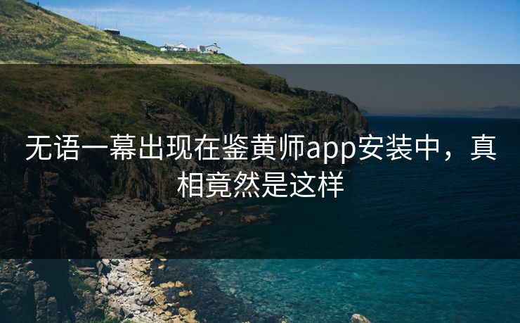 无语一幕出现在鉴黄师app安装中，真相竟然是这样