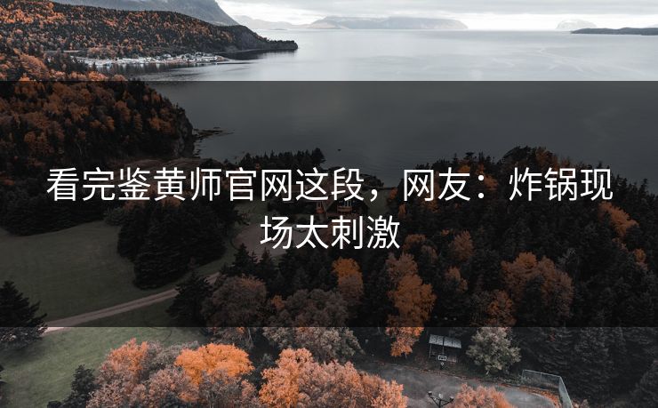 看完鉴黄师官网这段，网友：炸锅现场太刺激