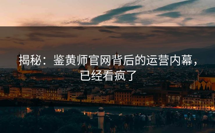 揭秘：鉴黄师官网背后的运营内幕，已经看疯了