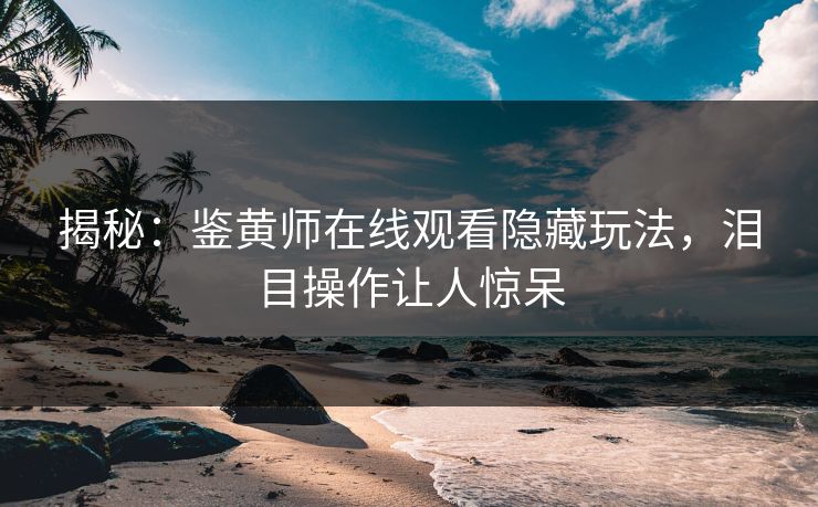 揭秘：鉴黄师在线观看隐藏玩法，泪目操作让人惊呆