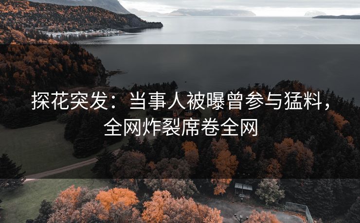 探花突发：当事人被曝曾参与猛料，全网炸裂席卷全网
