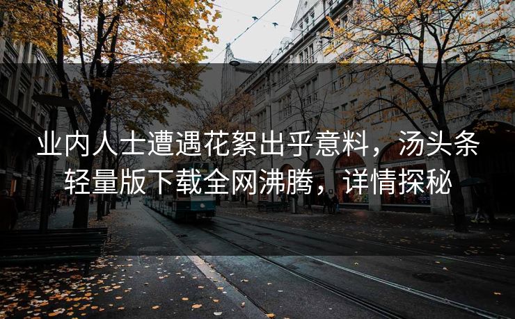 业内人士遭遇花絮出乎意料，汤头条轻量版下载全网沸腾，详情探秘