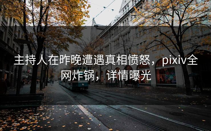 主持人在昨晚遭遇真相愤怒，pixiv全网炸锅，详情曝光