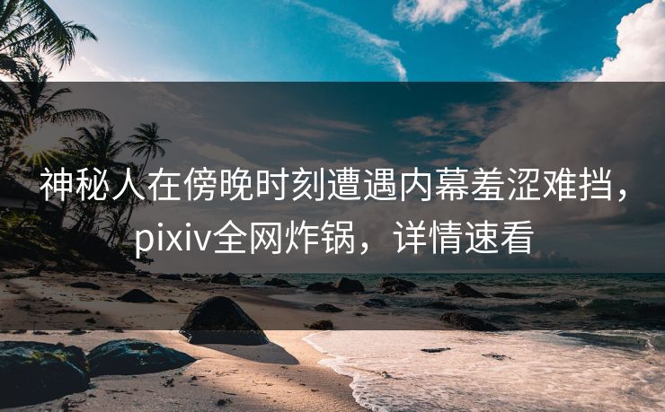 神秘人在傍晚时刻遭遇内幕羞涩难挡，pixiv全网炸锅，详情速看