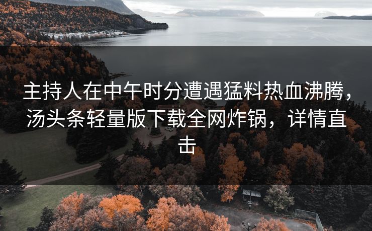 主持人在中午时分遭遇猛料热血沸腾，汤头条轻量版下载全网炸锅，详情直击