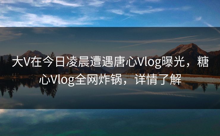 大V在今日凌晨遭遇唐心Vlog曝光，糖心Vlog全网炸锅，详情了解