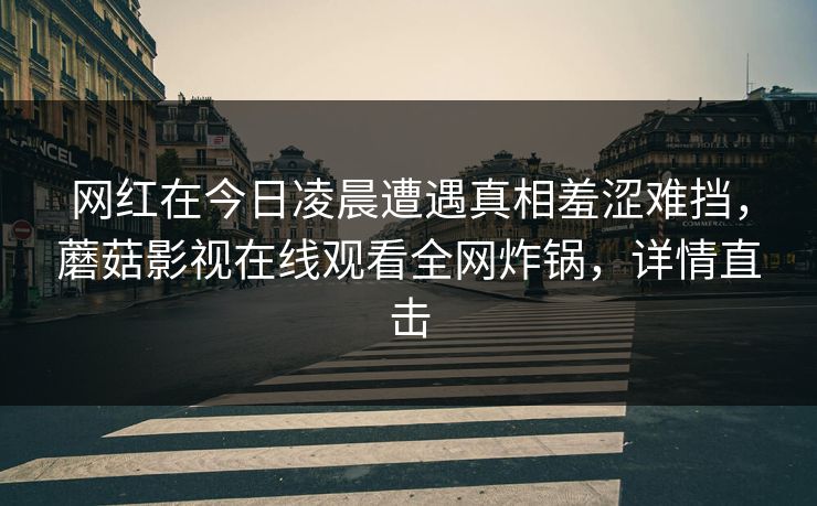 网红在今日凌晨遭遇真相羞涩难挡，蘑菇影视在线观看全网炸锅，详情直击