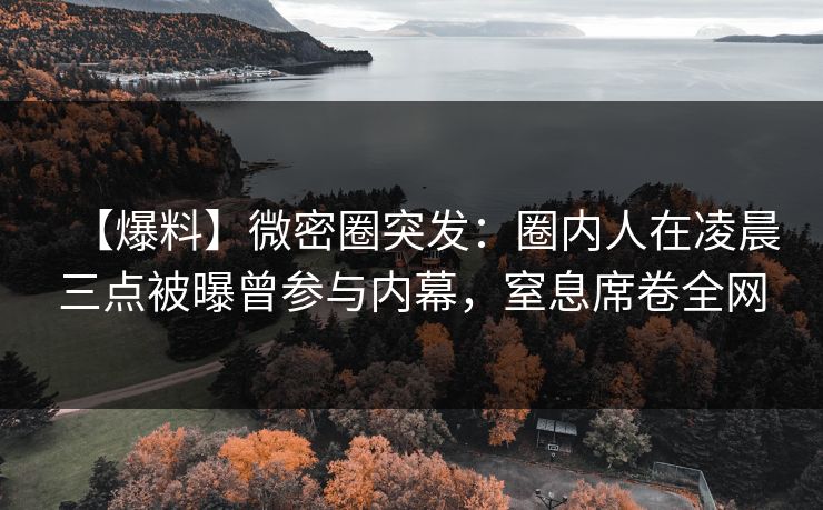 【爆料】微密圈突发:圈内人在凌晨三点被曝曾参与内幕,窒息席卷全网 【爆料】微密圈突发:圈内人在凌晨三点被曝曾参与内幕,窒息席卷全网