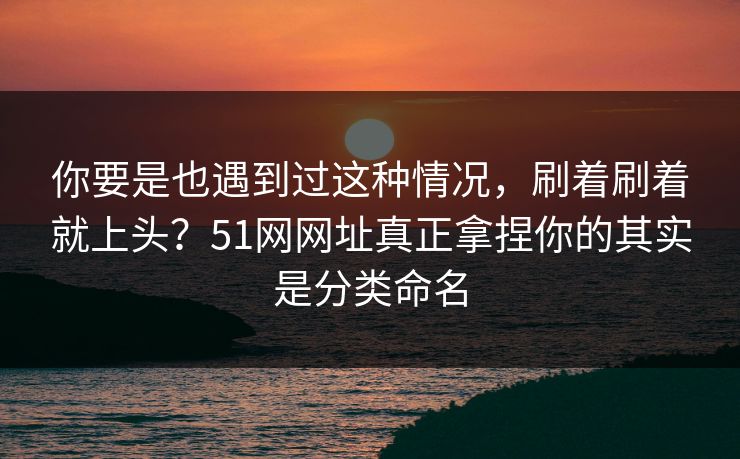 你要是也遇到过这种情况,刷着刷着就上头?51网网址真正拿捏你的其实是分类命名 你要是也遇到过这种情况,刷着刷着就上头?51网网址真正拿捏你的其实是分类命名