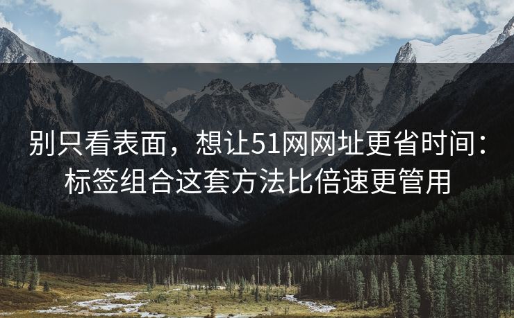 别只看表面，想让51网网址更省时间：标签组合这套方法比倍速更管用